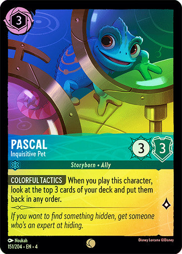 Pascal - Inquisitive Pet